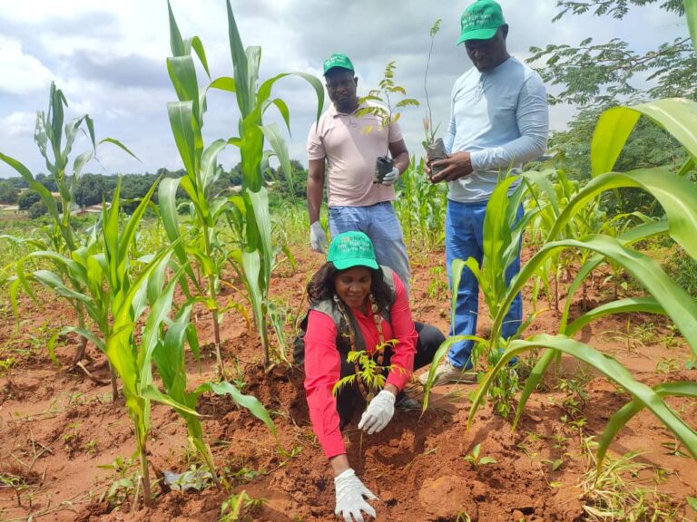 Castel plants 1000 additional trees in Lilongwe